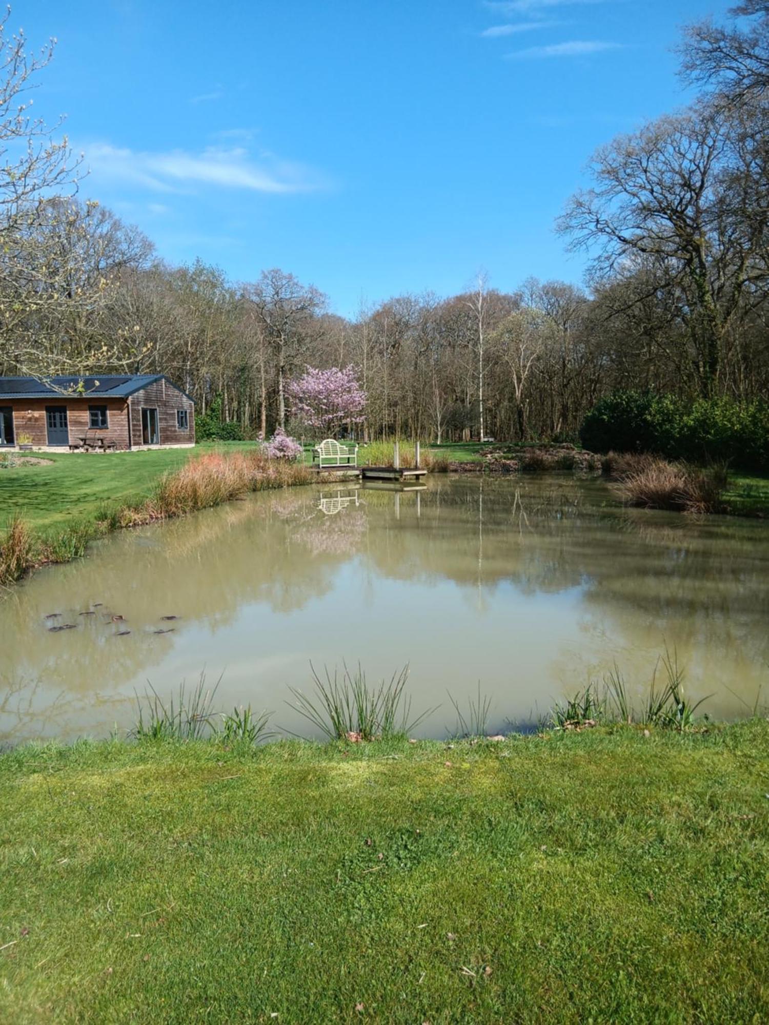 Vila The Barn - Quiet Location Ashford  Exteriér fotografie